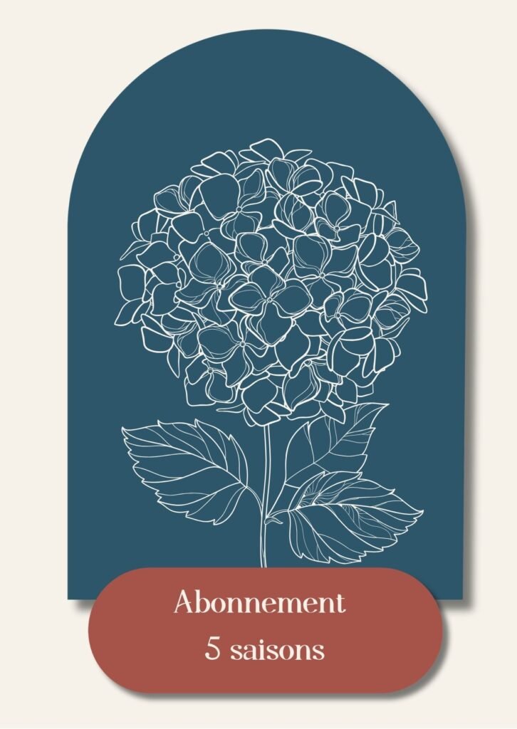 Abonnement 5 saisons - énergétique chinoise