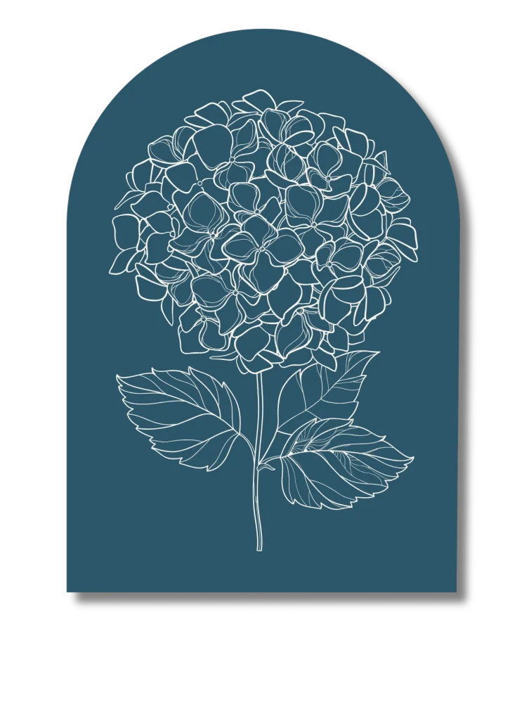 Offre business représenté par des hortensia . Signification : abondance, transformation, harmonie