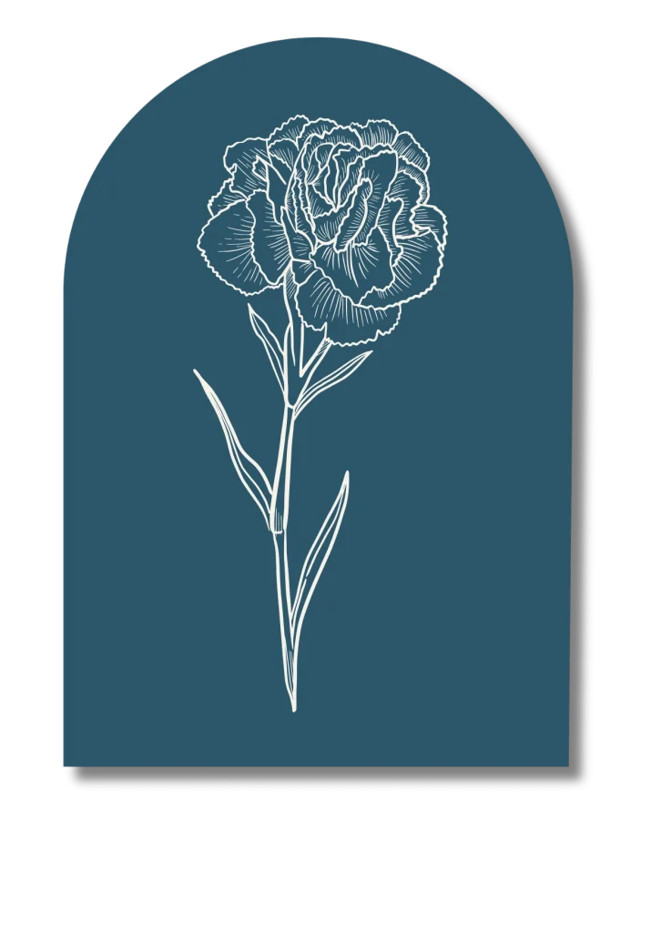 Fleur d'oeillet - pour la séance de Qi Nei Tsang. Signifie : force, résistance et sincérité