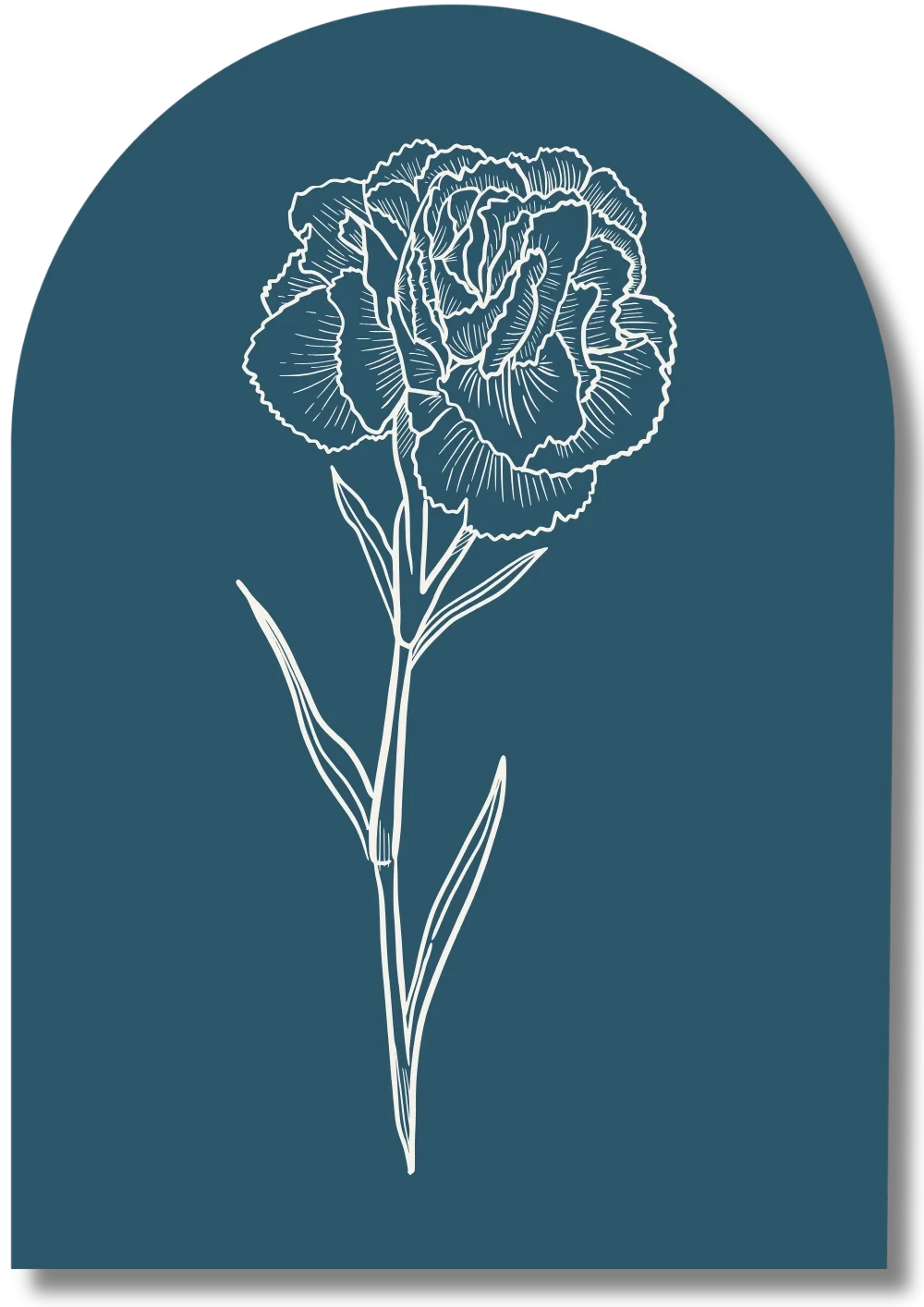 Fleur d'oeillet - pour la séance de Qi Nei Tsang. Signifie : force, résistance et sincérité