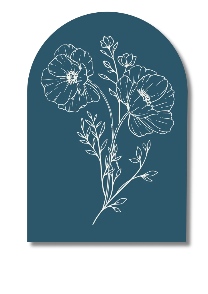 Fleurs de souci - illustrant la séance Power zen signifie le lacher prise, l'éphémère, la résilience