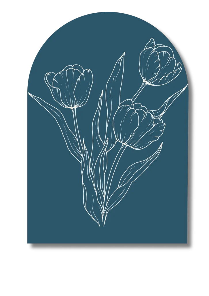 Fleurs de tulipe - illustrant les séance des suivi d'énergétique Traditionnelle chinoise, signification: renouveau, épanouissement, vitalité