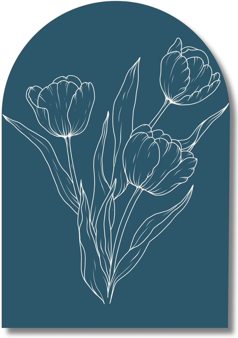 Fleurs de tulipe - illustrant les séance des suivi d'énergétique Traditionnelle chinoise, signification: renouveau, épanouissement, vitalité