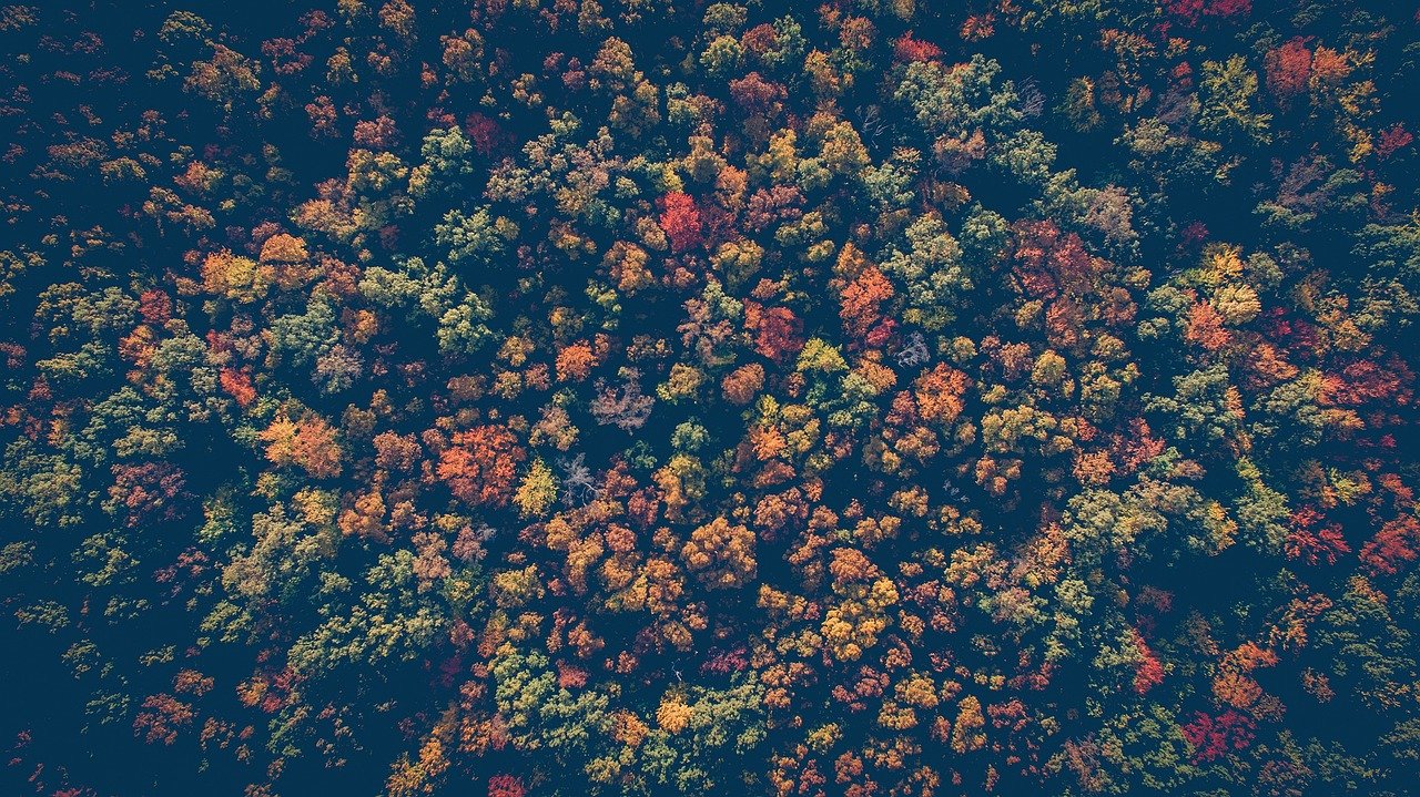 Lire la suite à propos de l’article L&rsquo;Automne