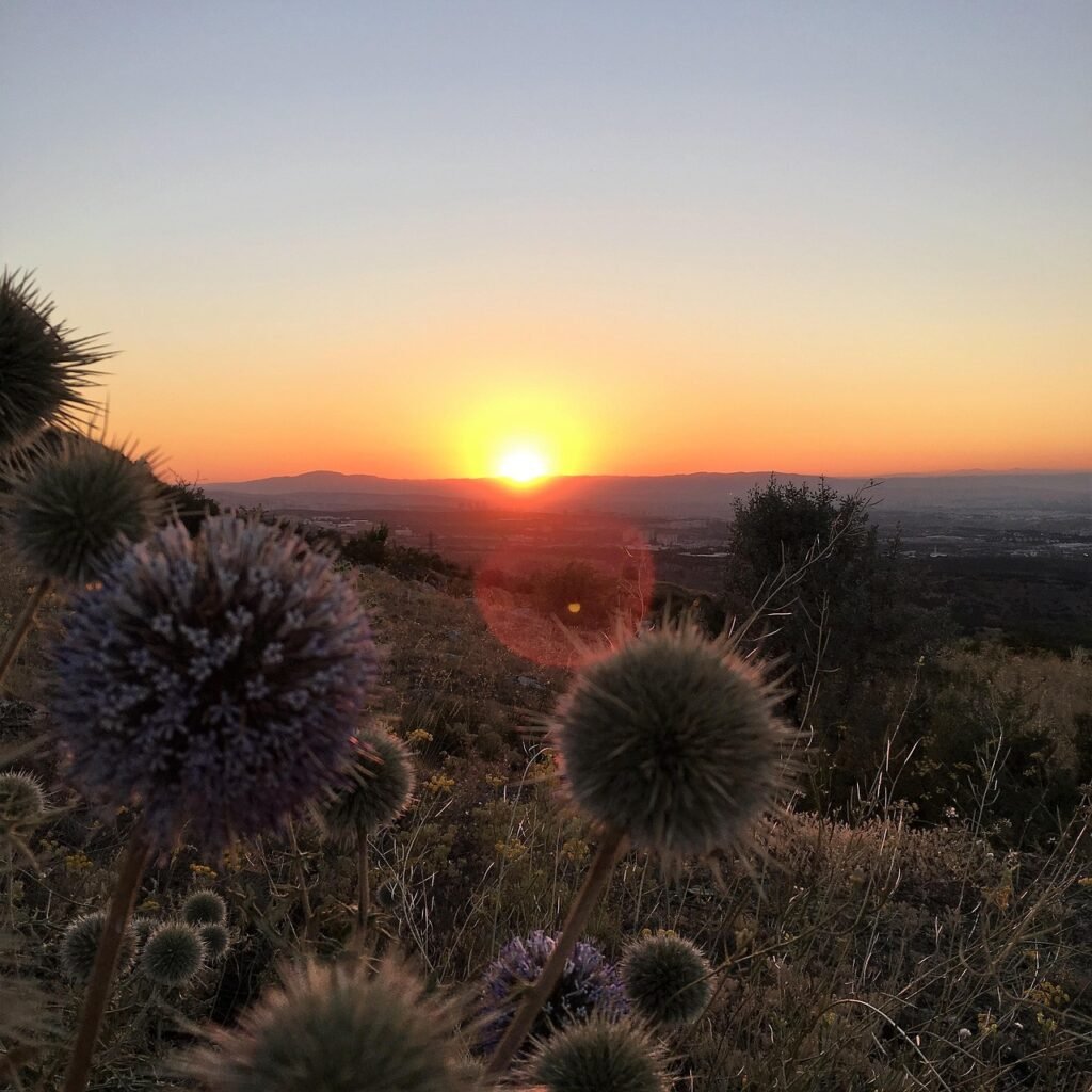 sunset, nature, le coucher du soleil
